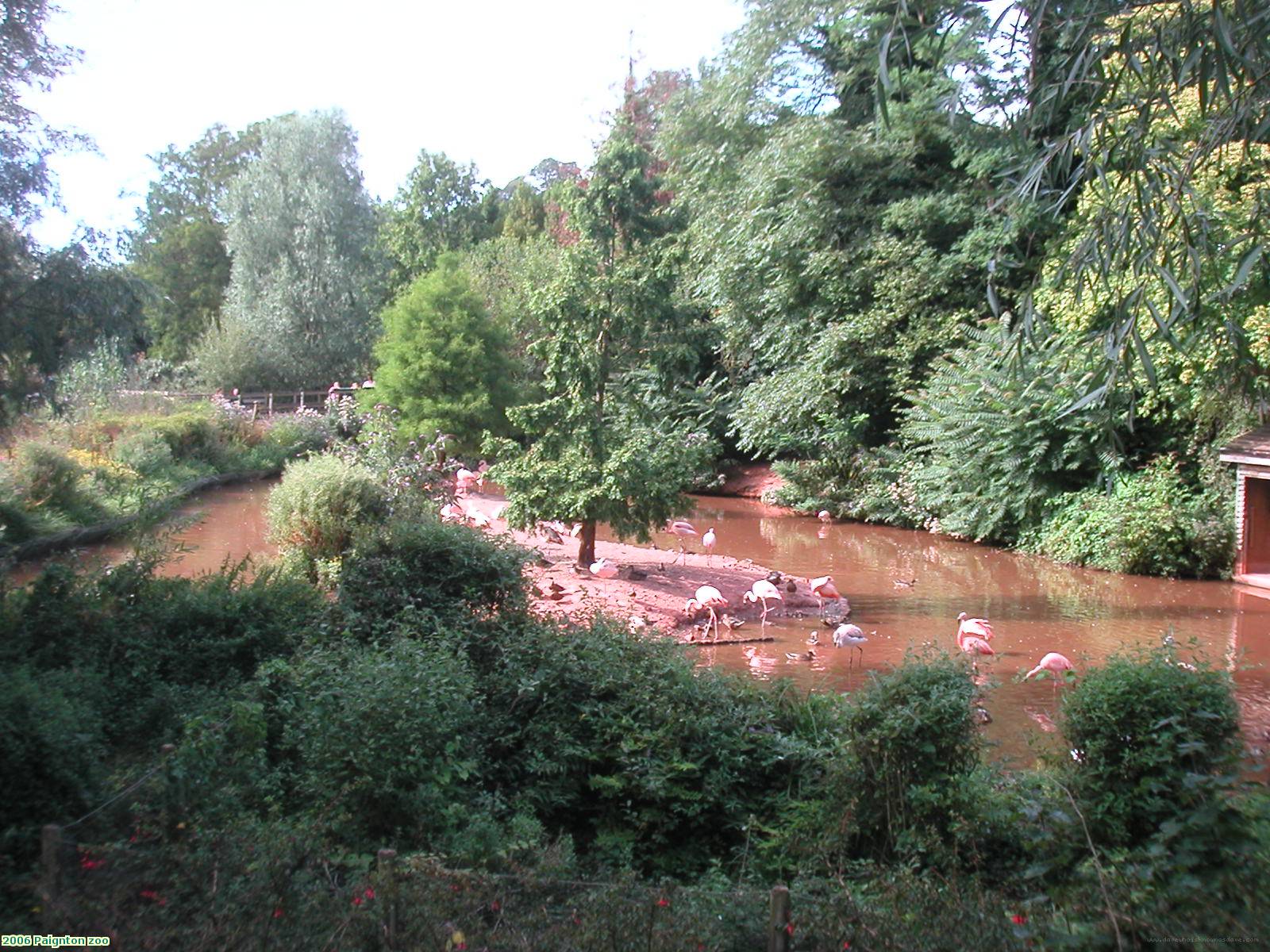 2006 Paignton zoo