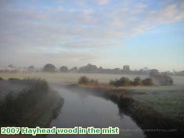  hay 2007 Hayhead wood in the mist