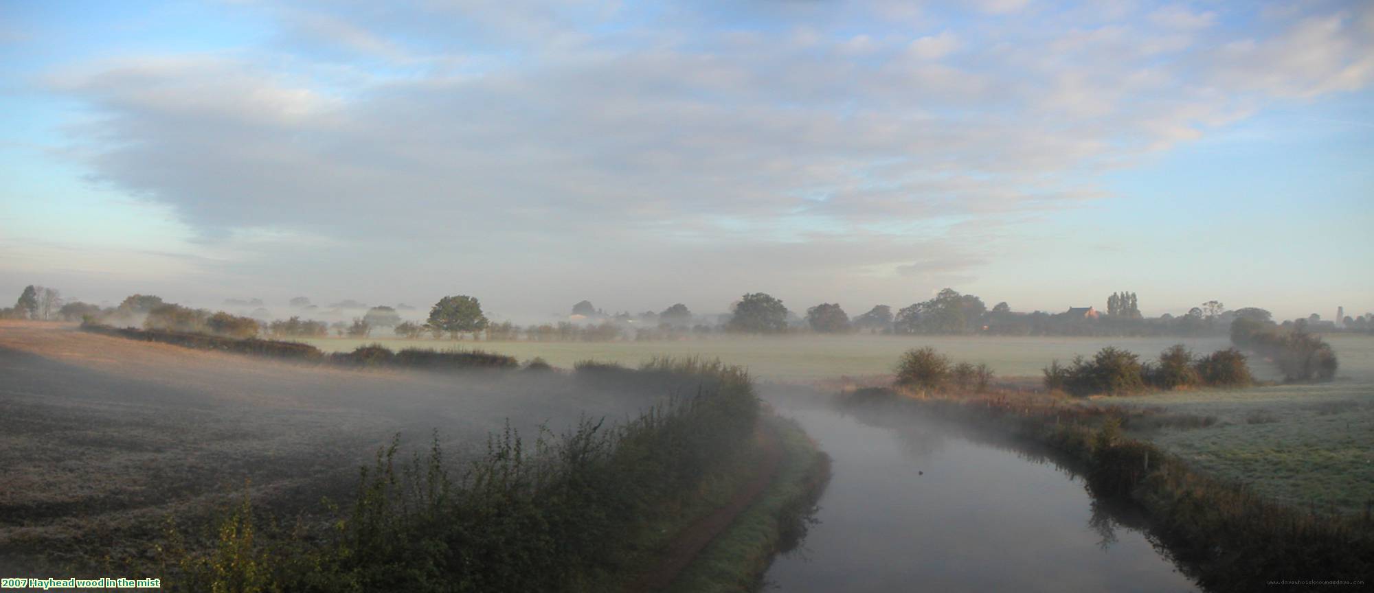 2007 Hayhead wood in the mist