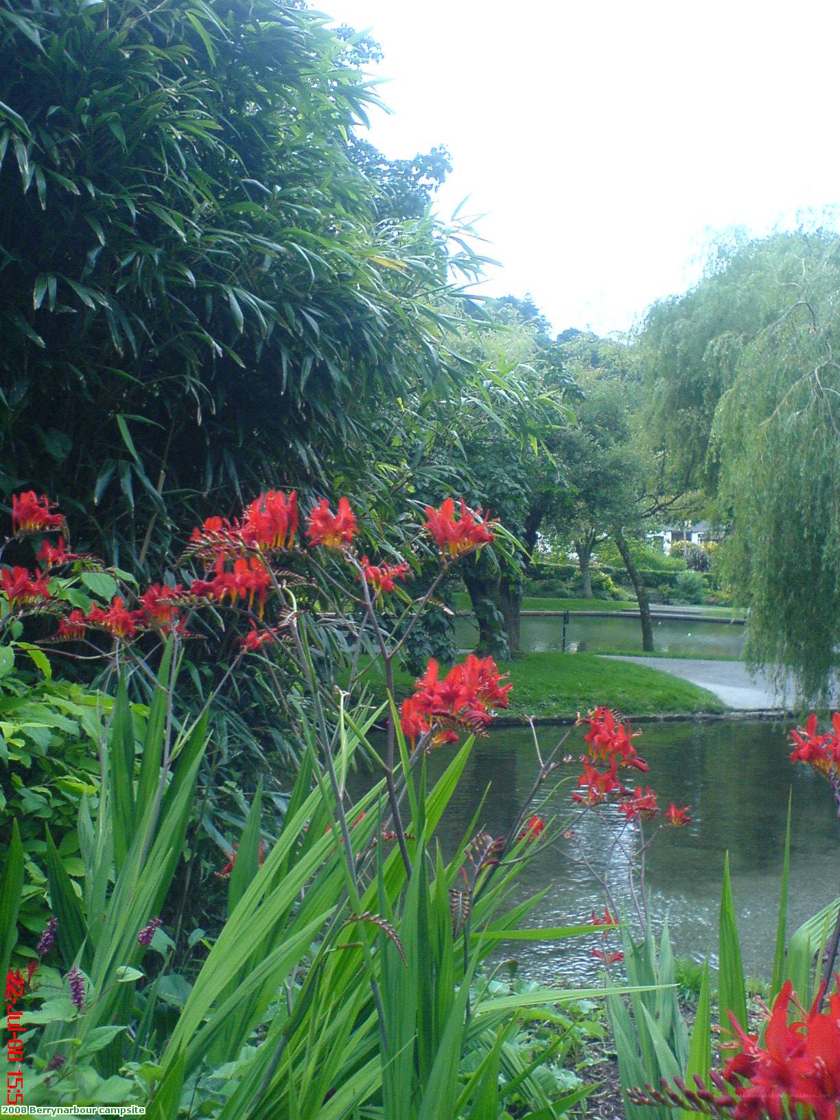 2008 Berrynarbour campsite