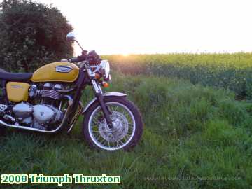  bike 2008 Triumph Thruxton