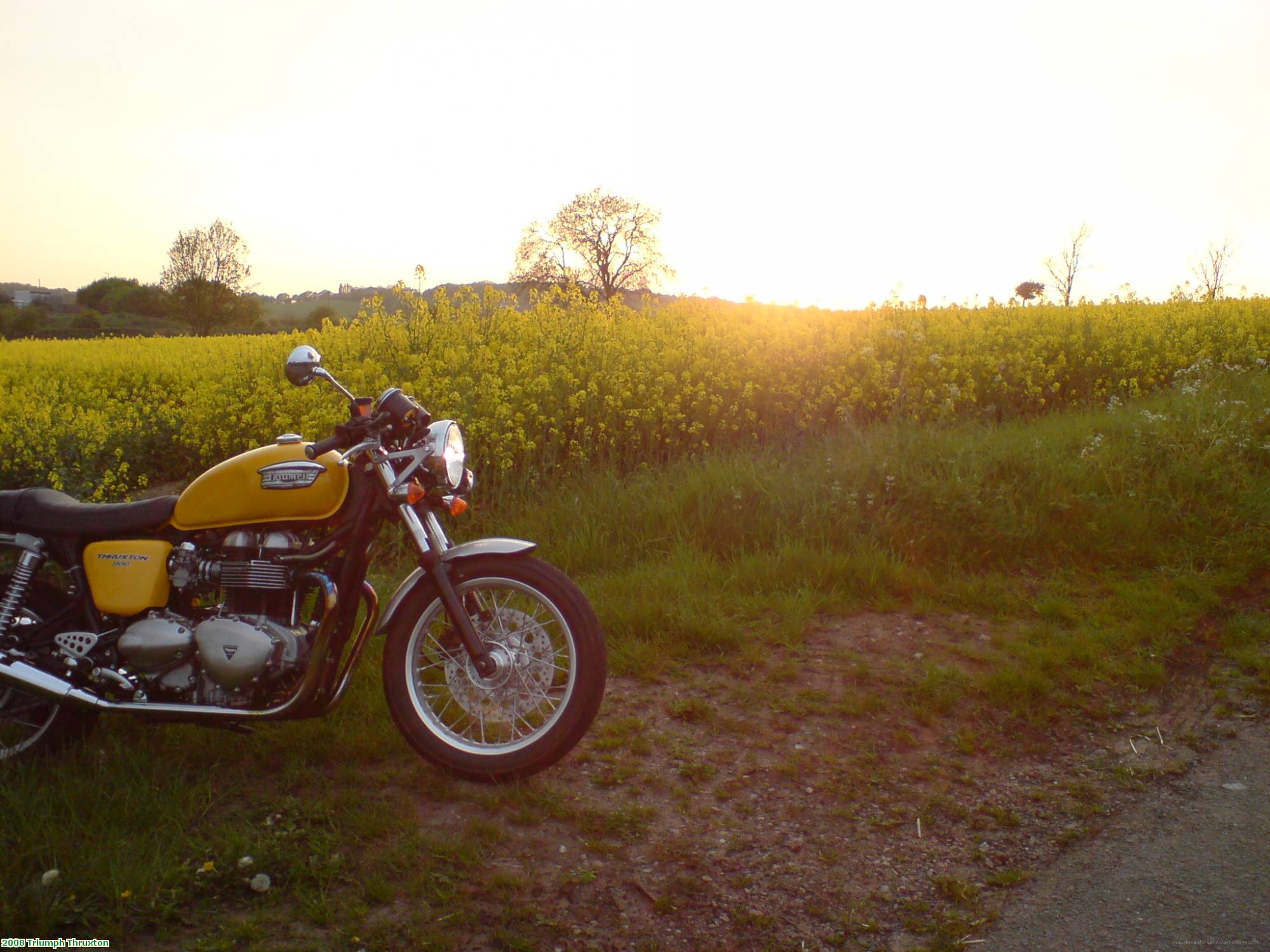 2008 Triumph Thruxton