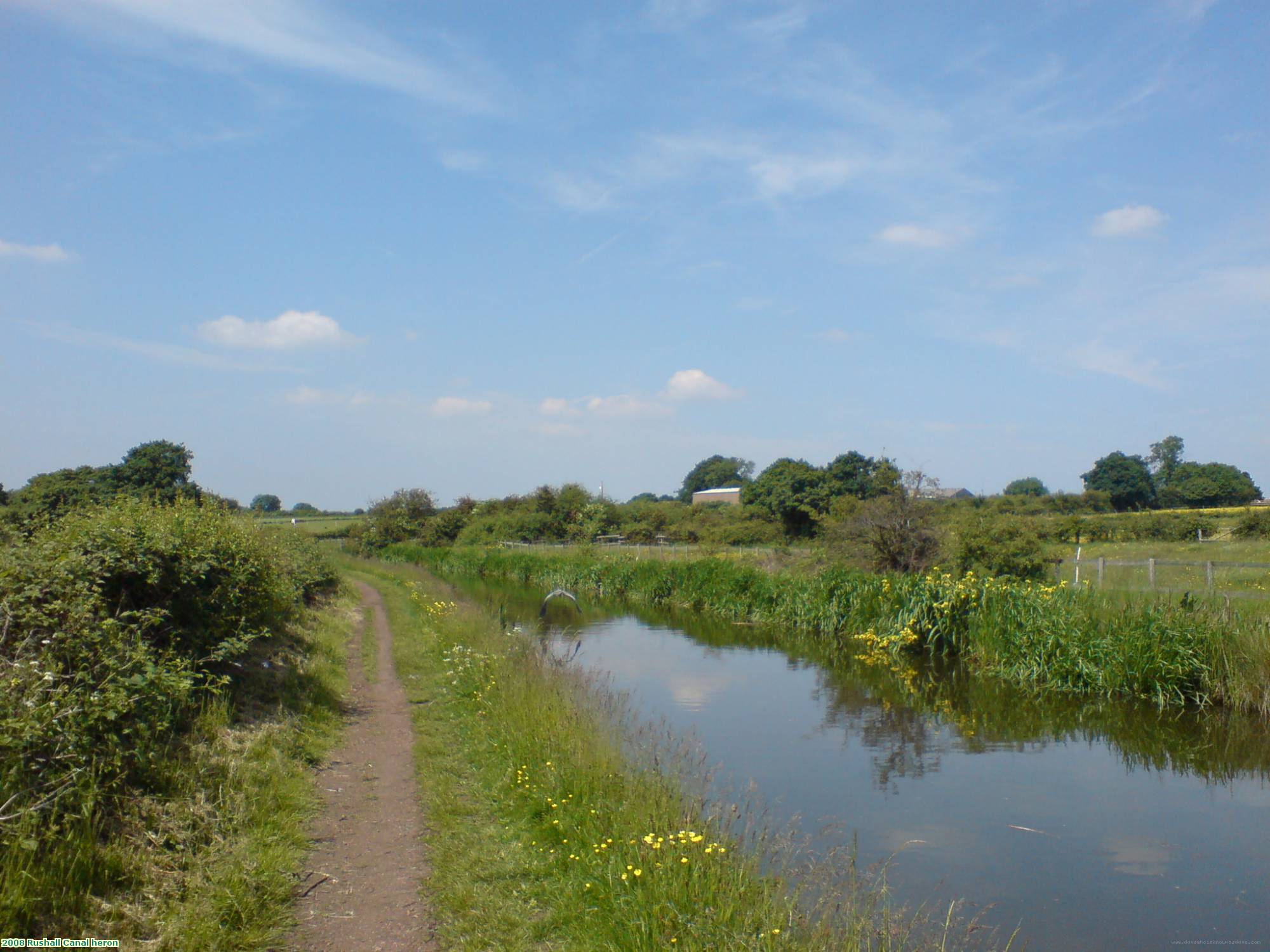 2008 Rushall Canal heron