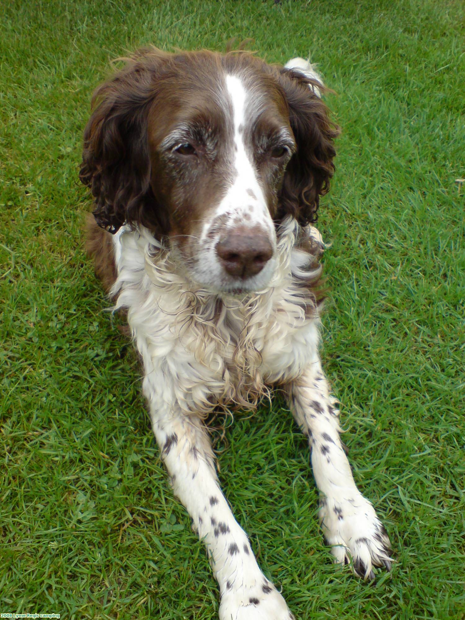 2008 Lyme Regis camping