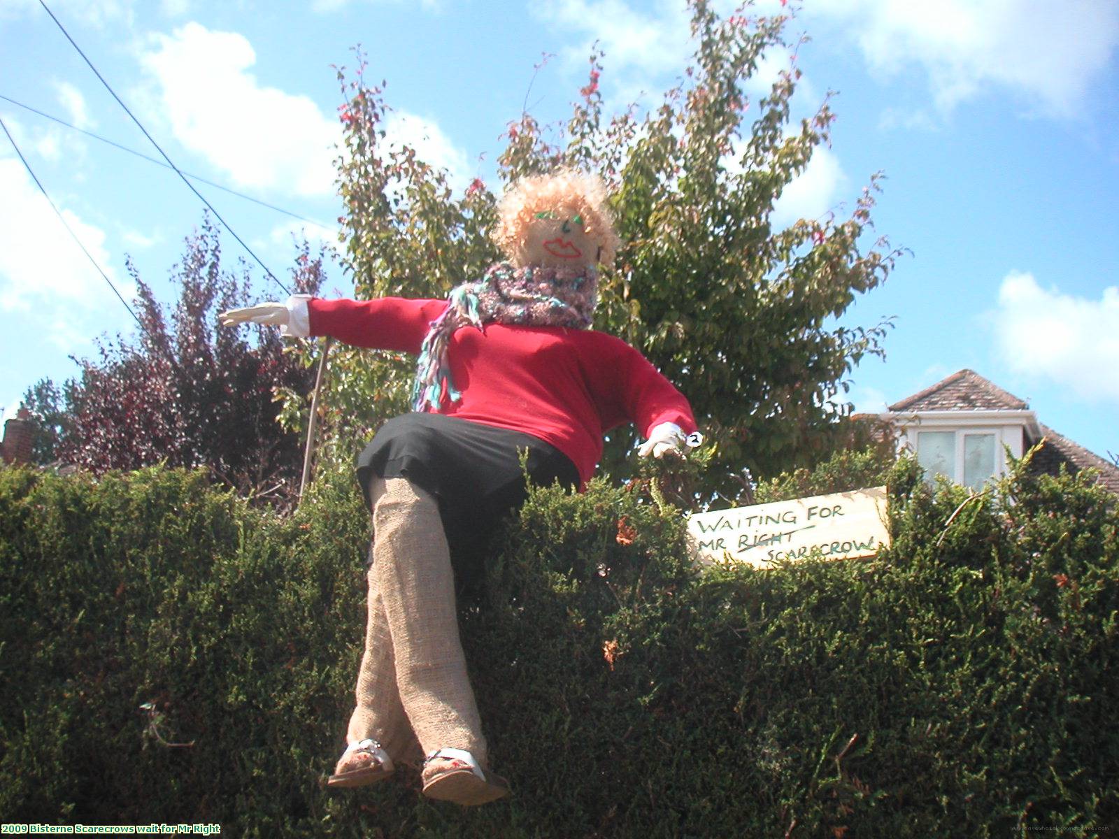 2009 Bisterne Scarecrows wait for Mr Right