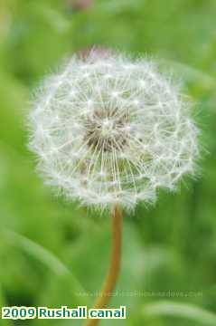  can 2009 Rushall canal