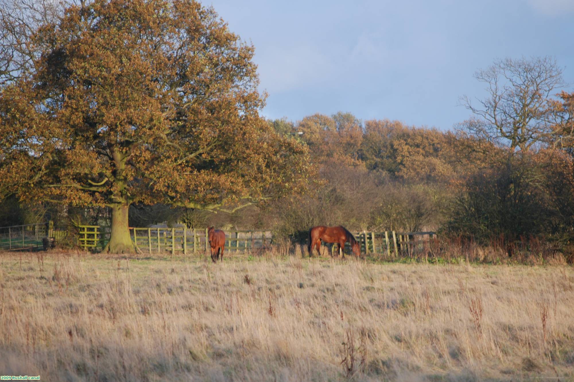 2009 Rushall canal