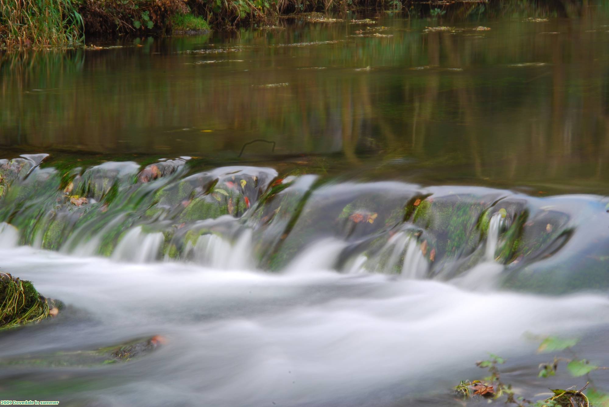 2009 Dovedale in summer