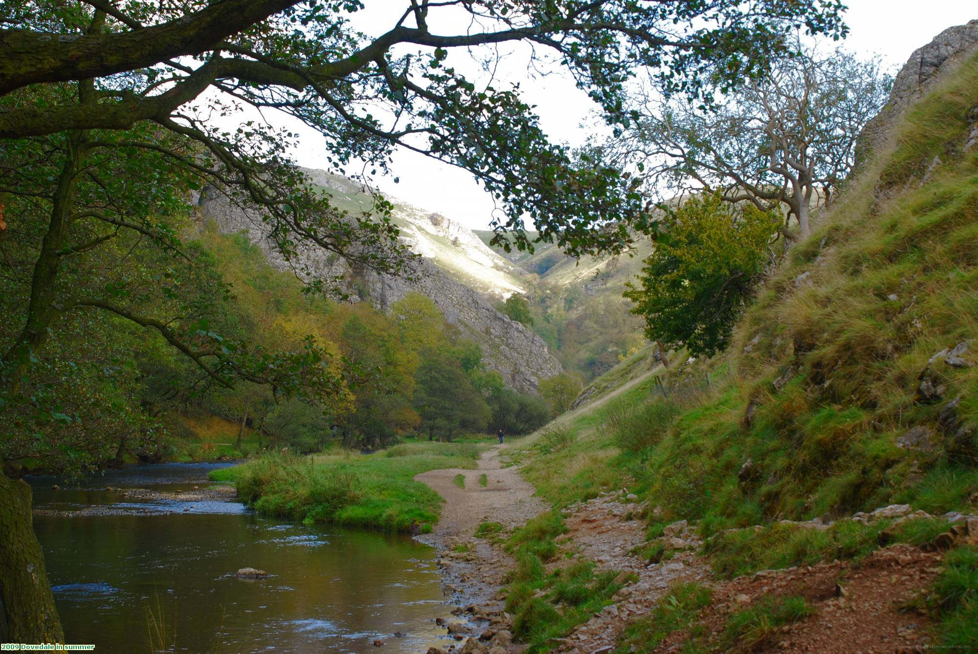 2009 Dovedale in summer