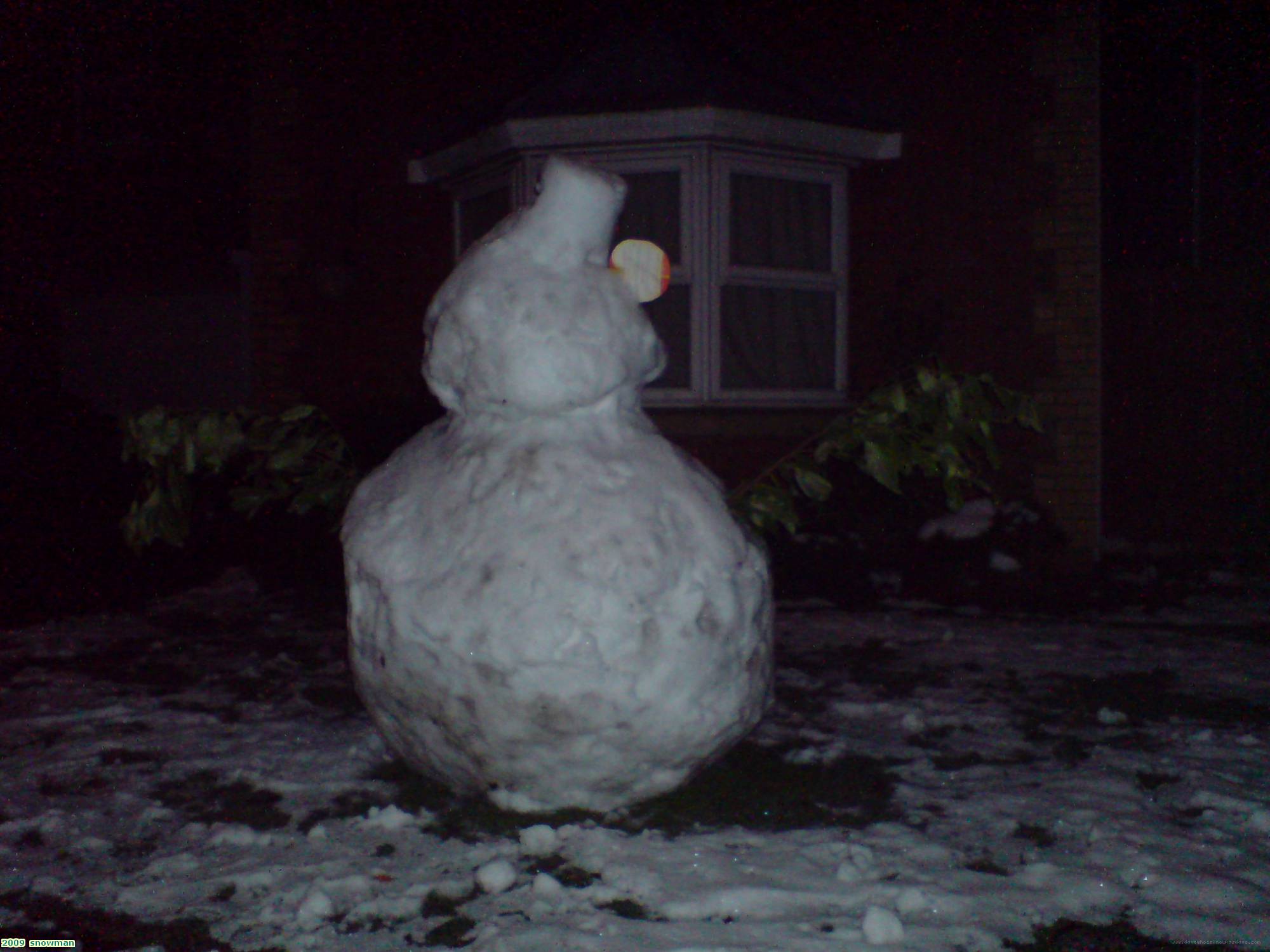 2009  snowman