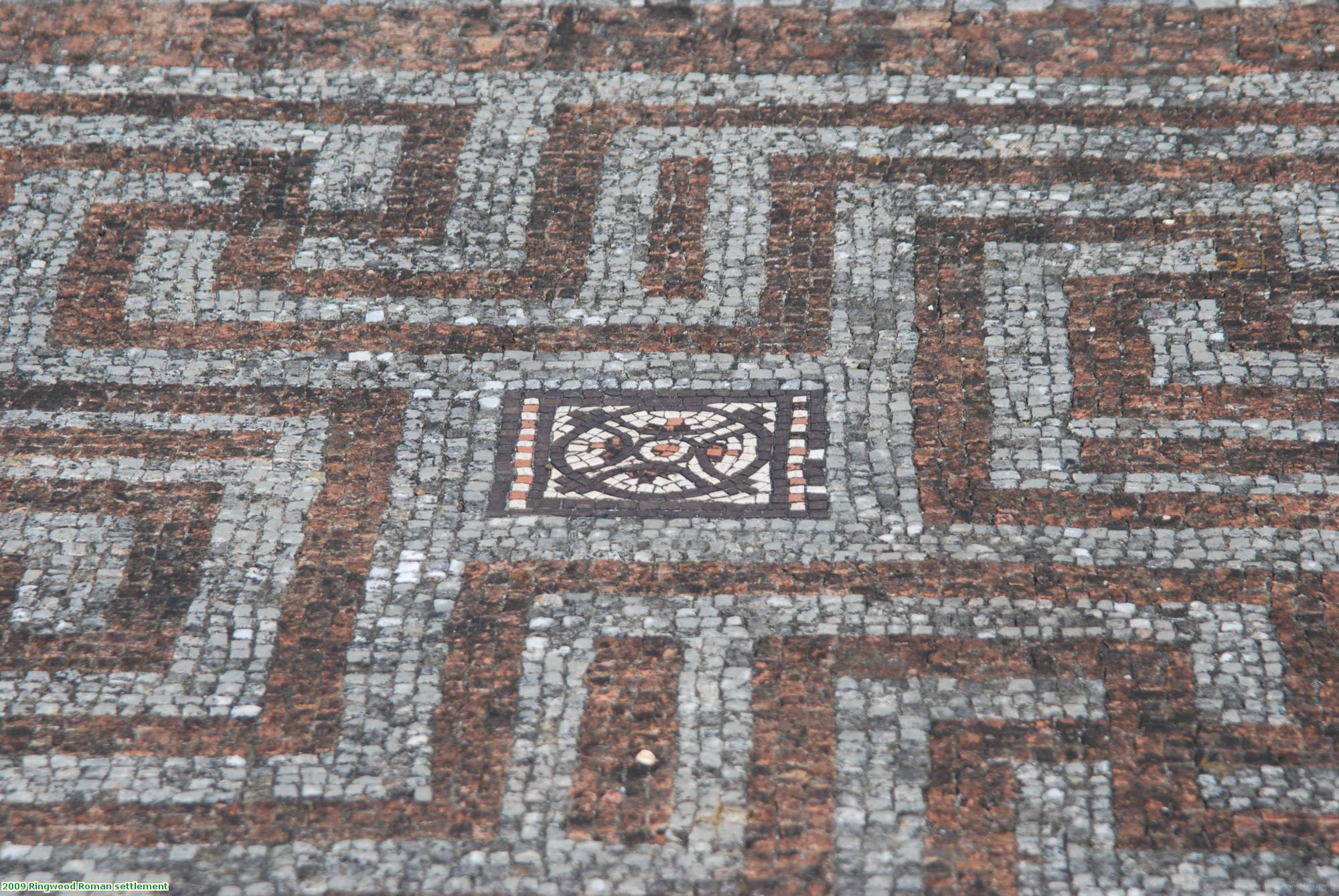 2009 Ringwood Roman settlement