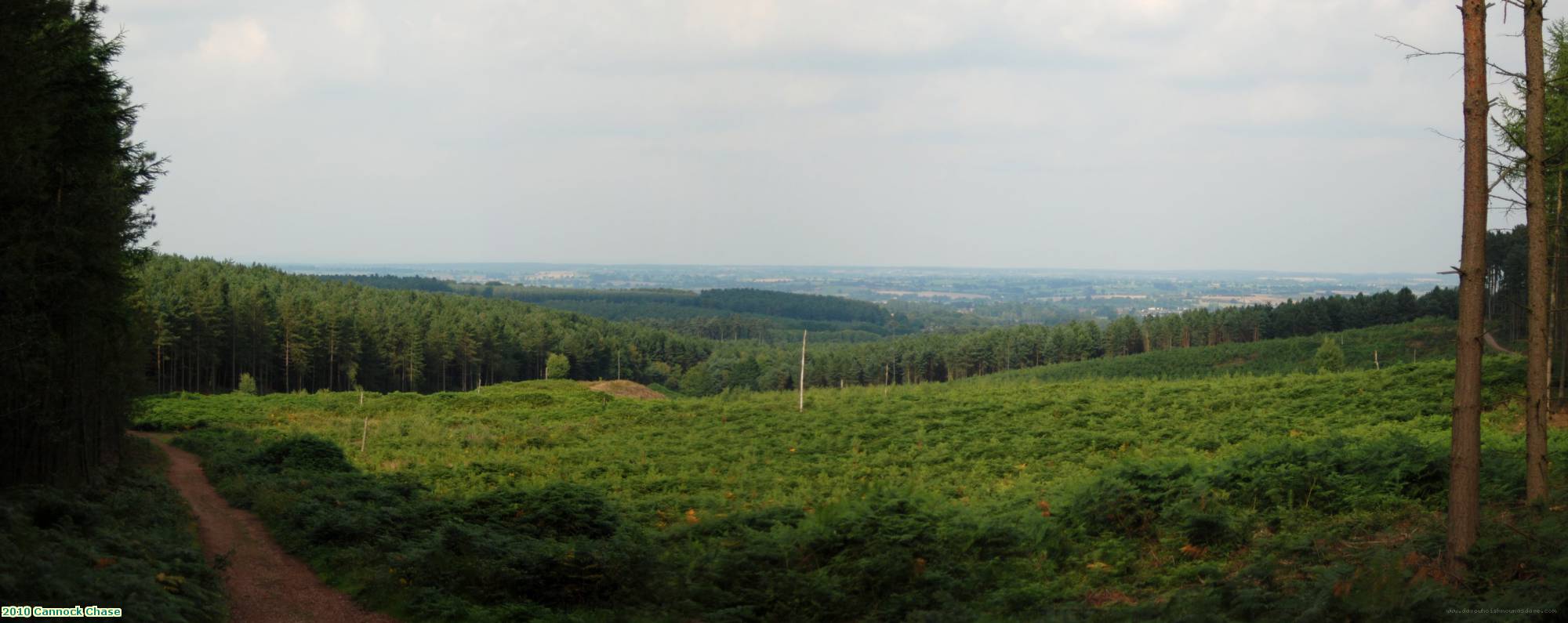 2010 Cannock Chase