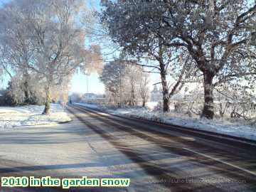  gard 2010 in the garden snow