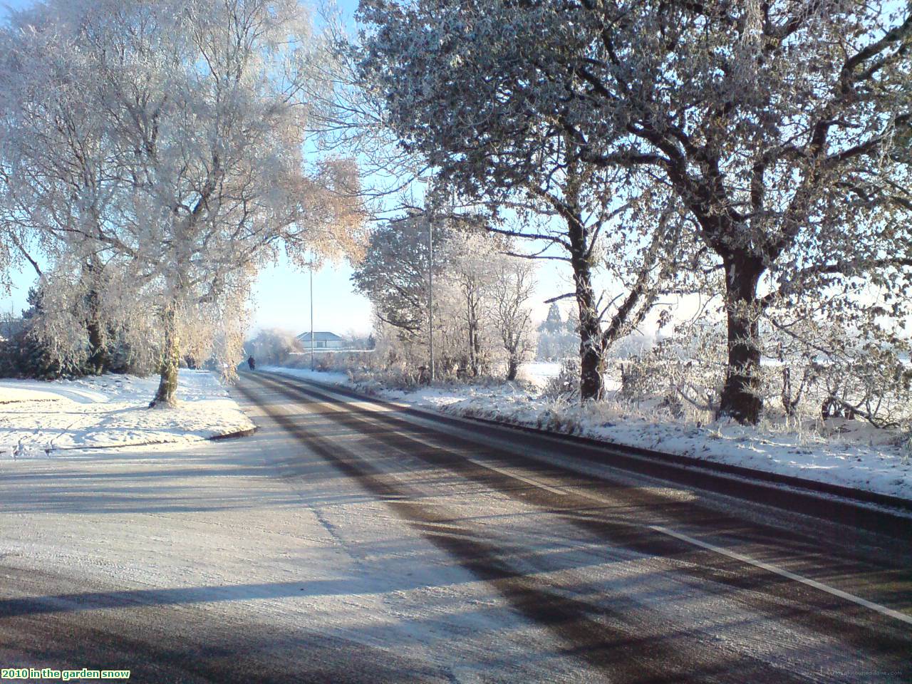 2010 in the garden snow