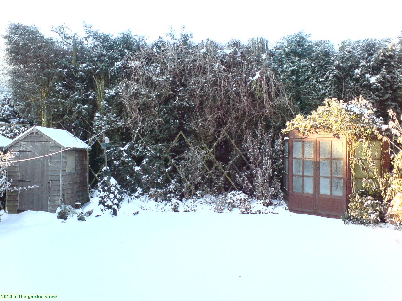 2010 in the garden snow