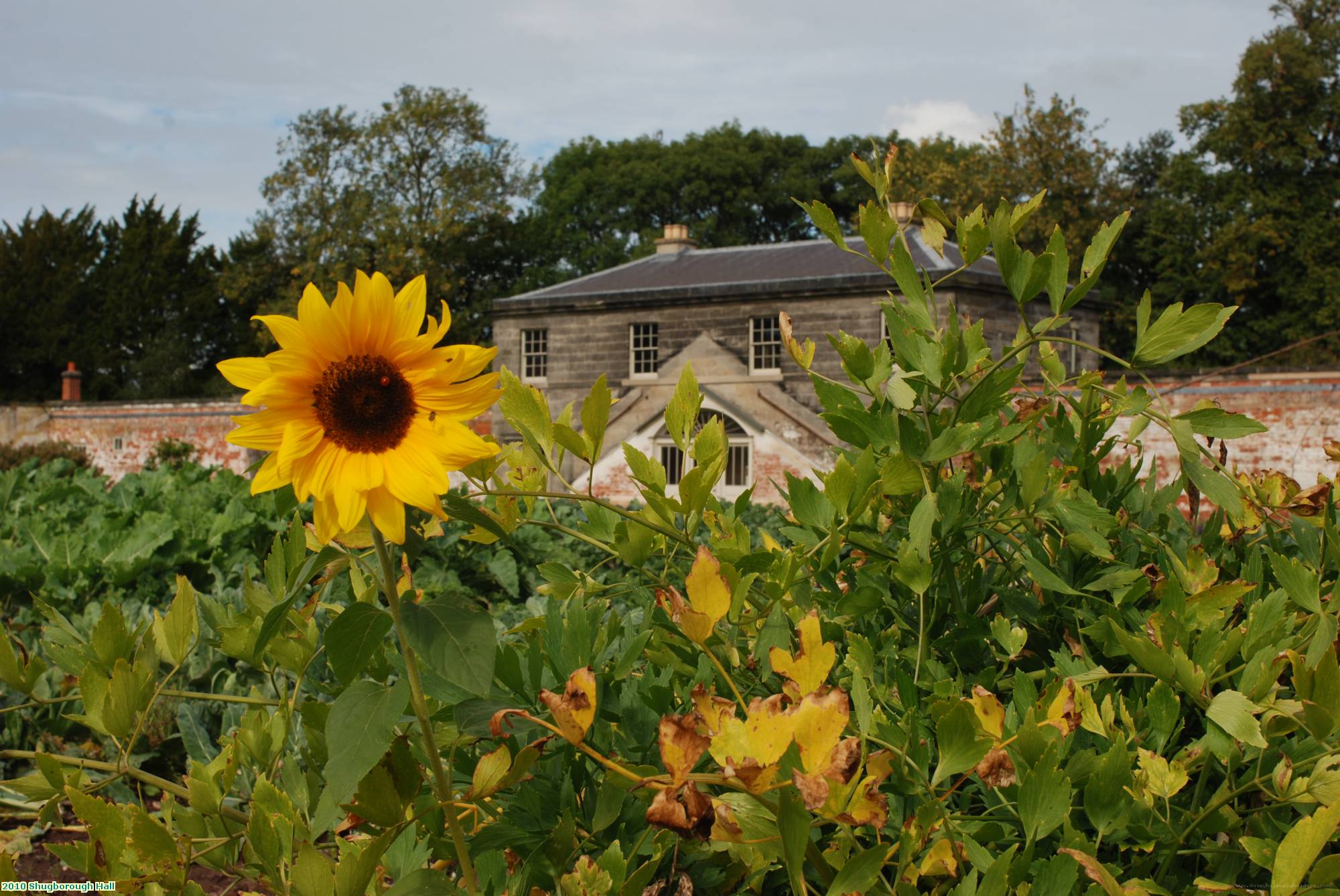 2010 Shugborough Hall