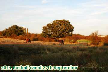  can 2011 Rushall canal 27th September