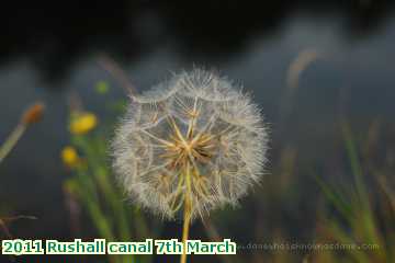  can 2011 Rushall canal 7th March