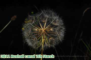  can 2011 Rushall canal 7th March