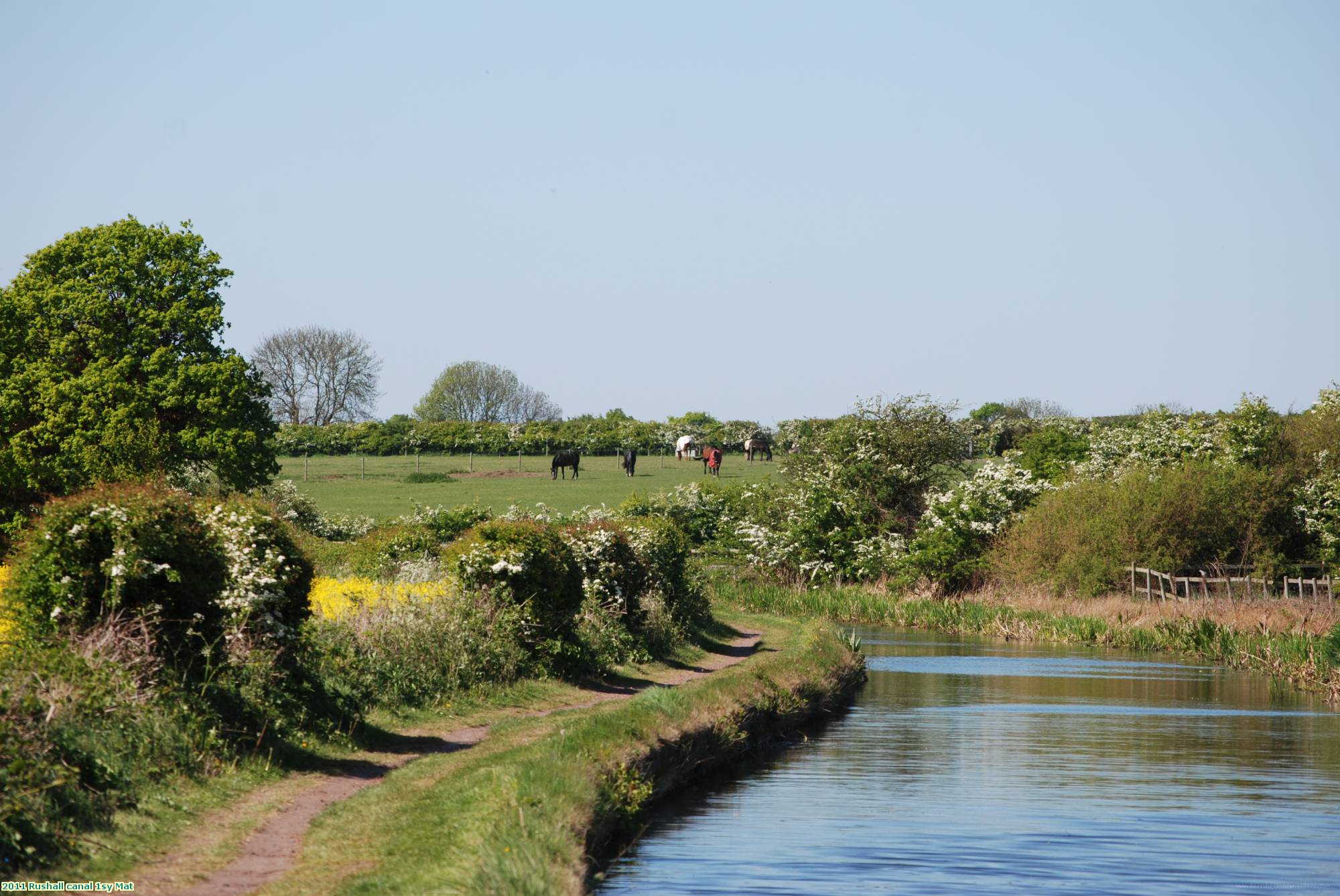 2011 Rushall canal 1sy Mat