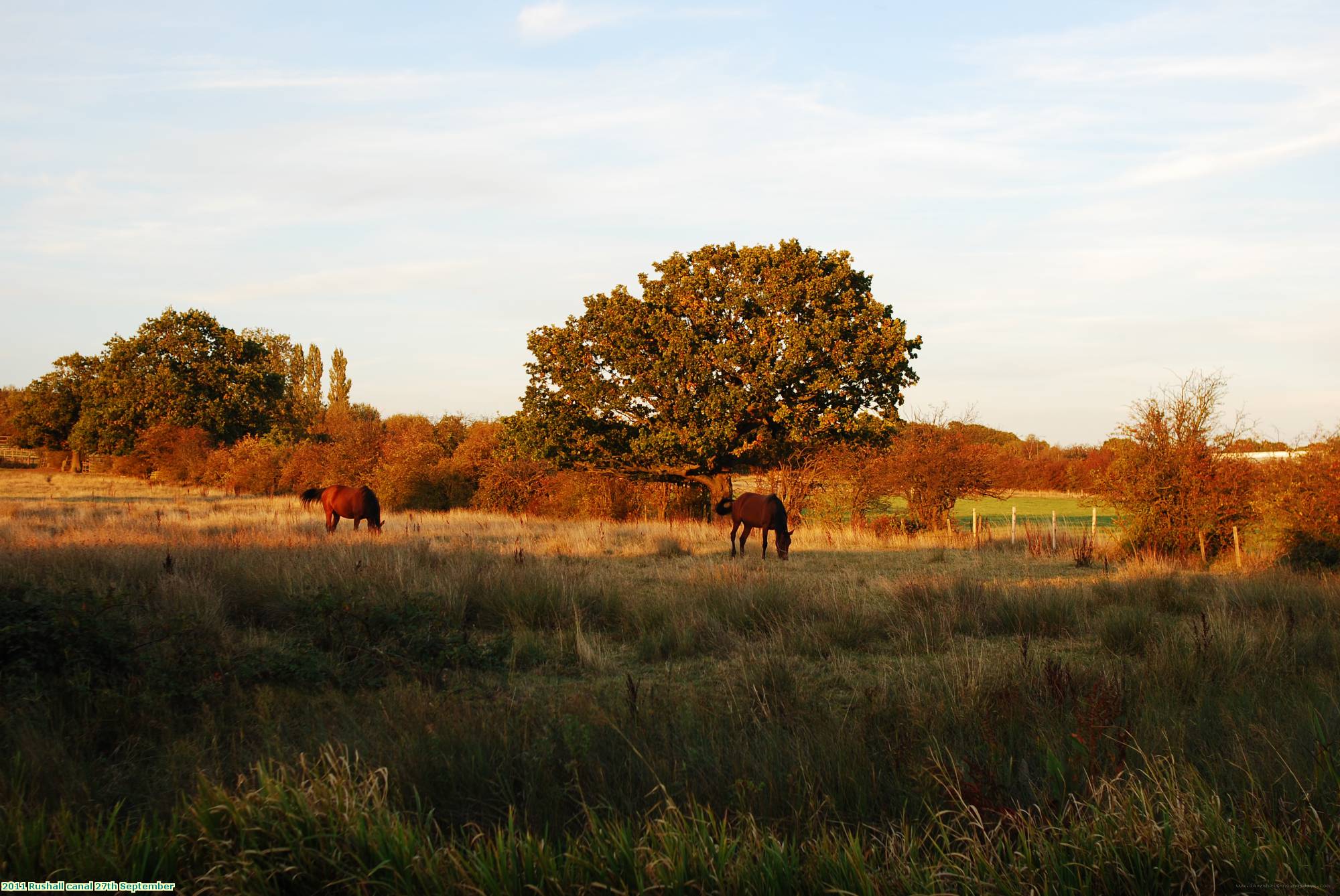 2011 Rushall canal 27th September