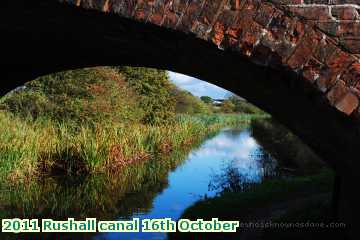  can2 2011 Rushall canal 16th October