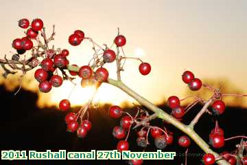  can2 2011 Rushall canal 27th November