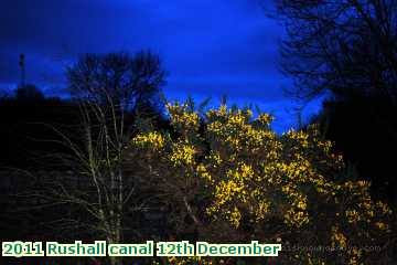  can2 2011 Rushall canal 12th December