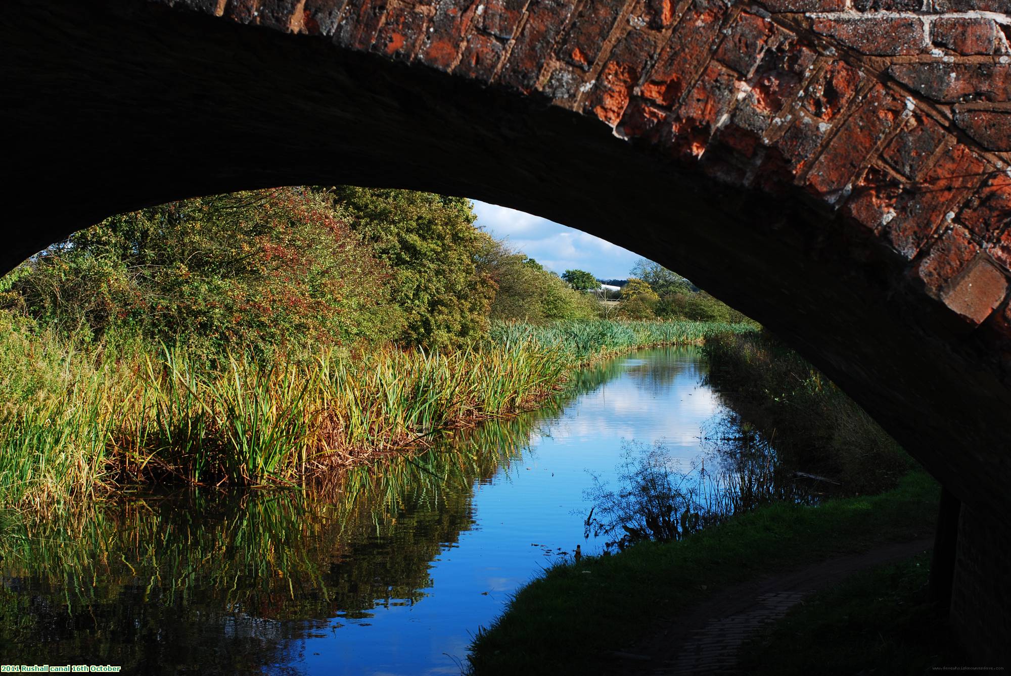 2011 Rushall canal 16th October