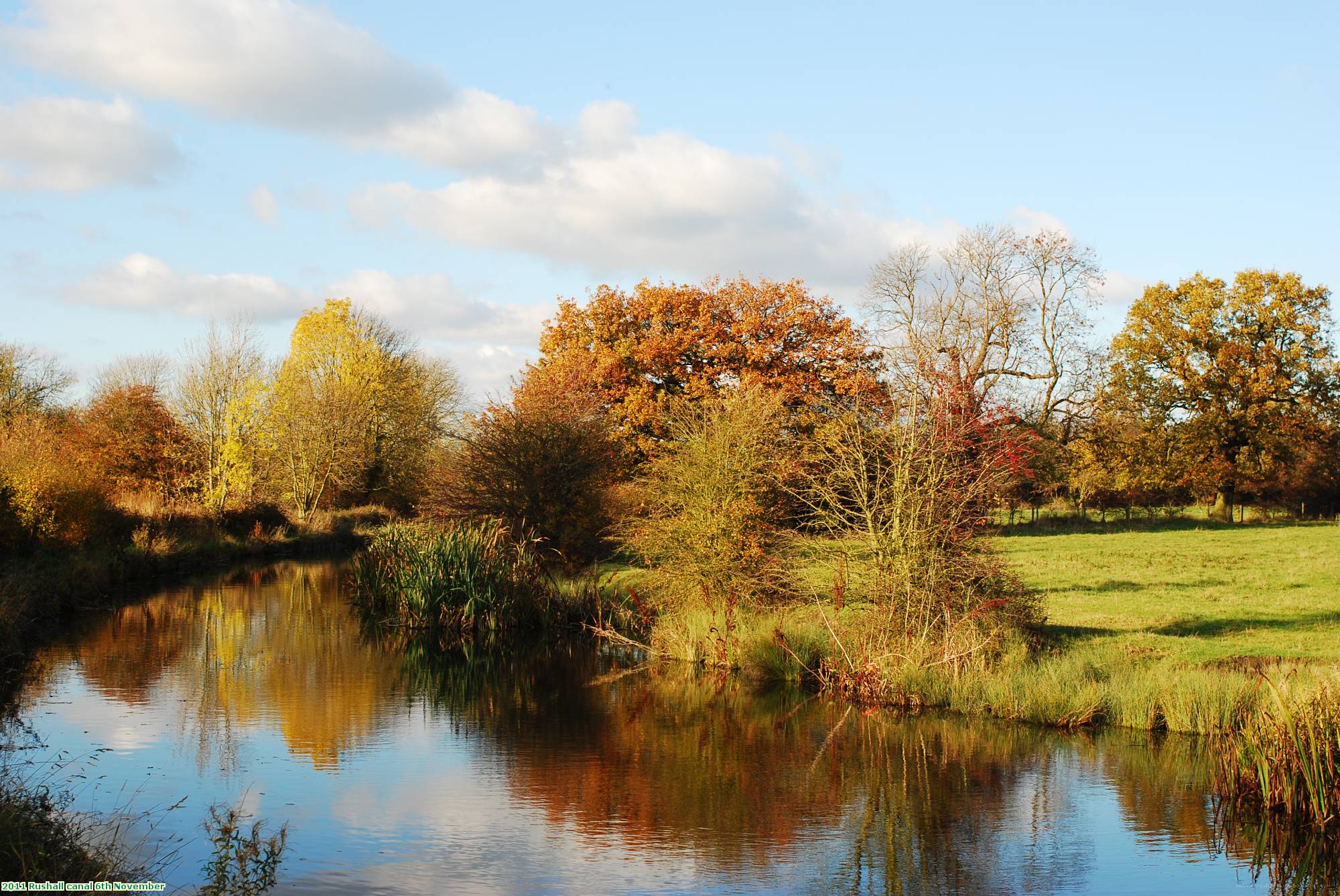 2011 Rushall canal 6th November