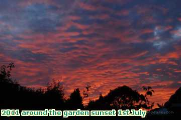  gard 2011 around the garden sunset 1st July