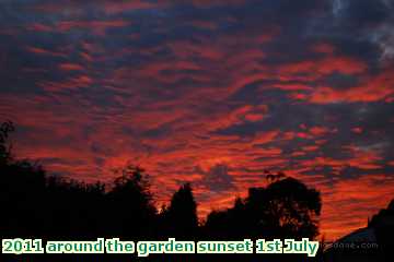  gard 2011 around the garden sunset 1st July