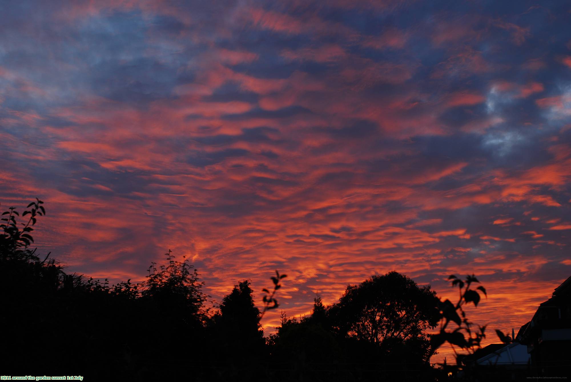 2011 around the garden sunset 1st July