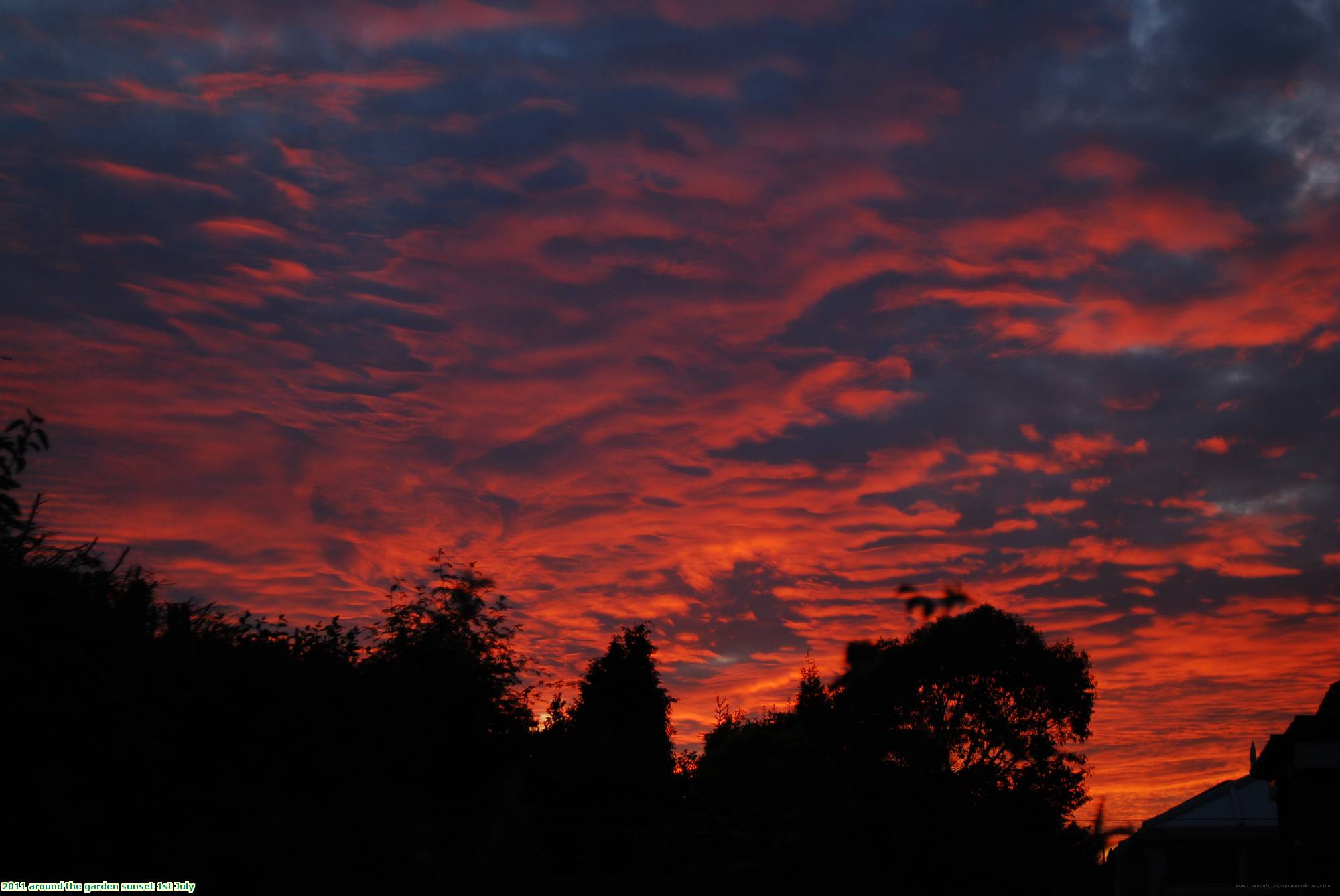 2011 around the garden sunset 1st July