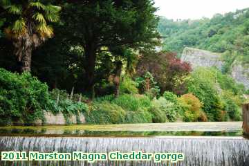  mars2 2011 Marston Magna Cheddar gorge