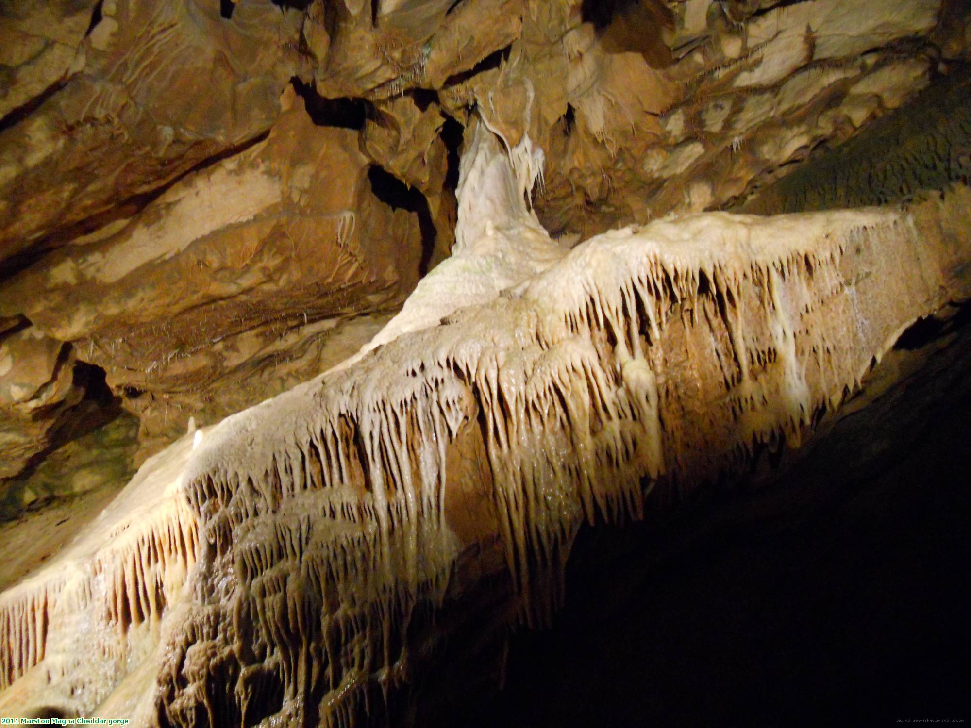 2011 Marston Magna Cheddar gorge