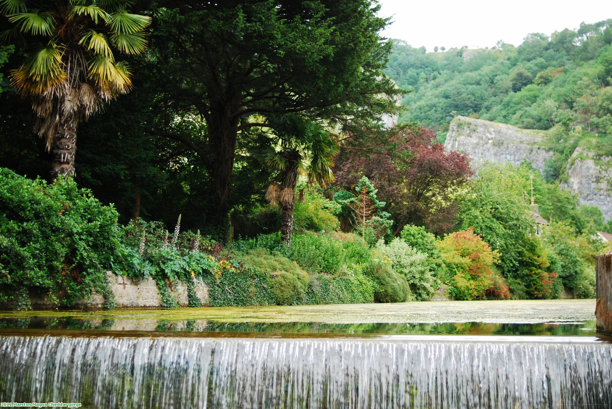 2011 Marston Magna Cheddar gorge