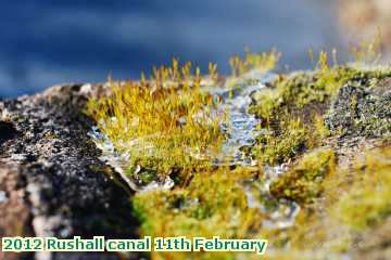  can 2012 Rushall canal 11th February