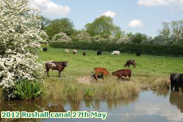  can 2012 Rushall canal 27th May