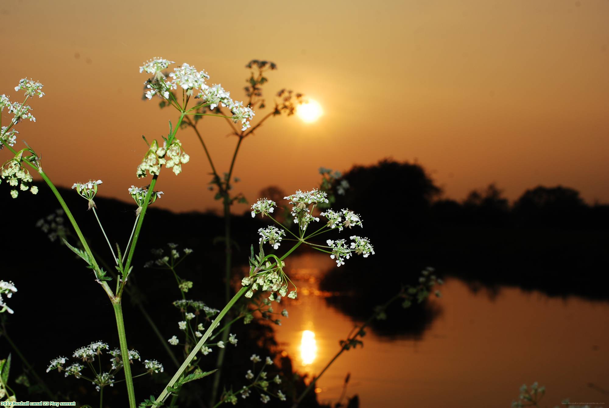 2012 Rushall canal 23 May sunset