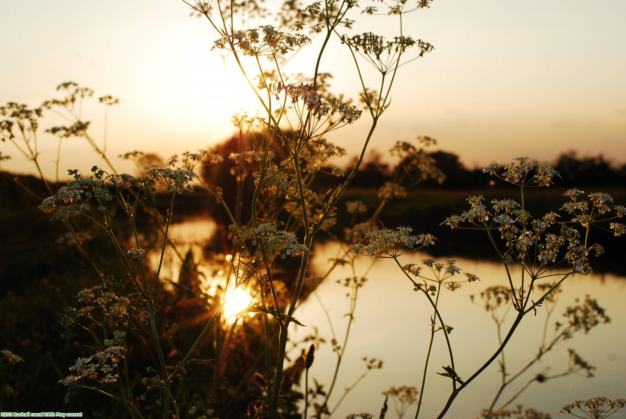 2012 Rushall canal 28th May sunset