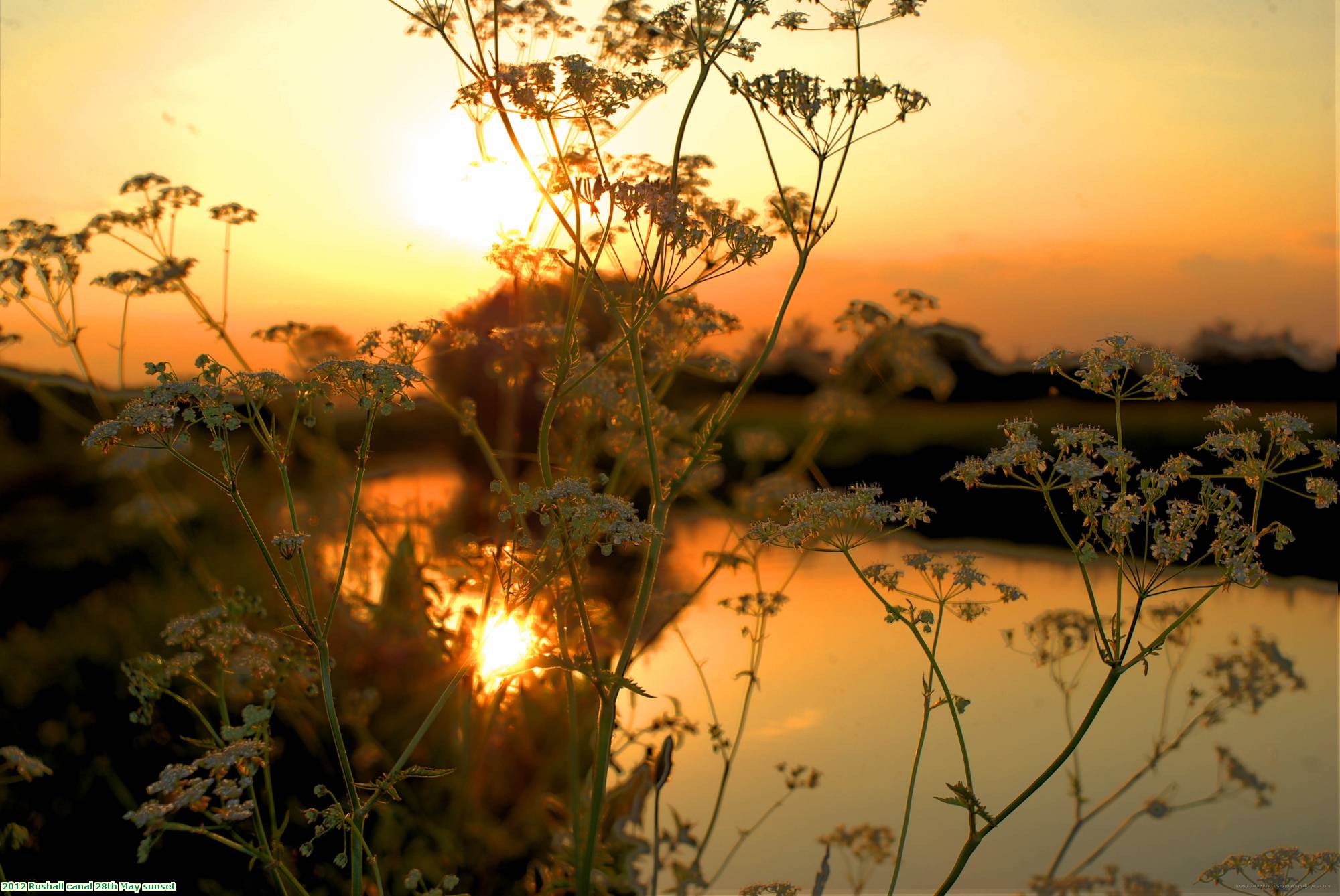 2012 Rushall canal 28th May sunset