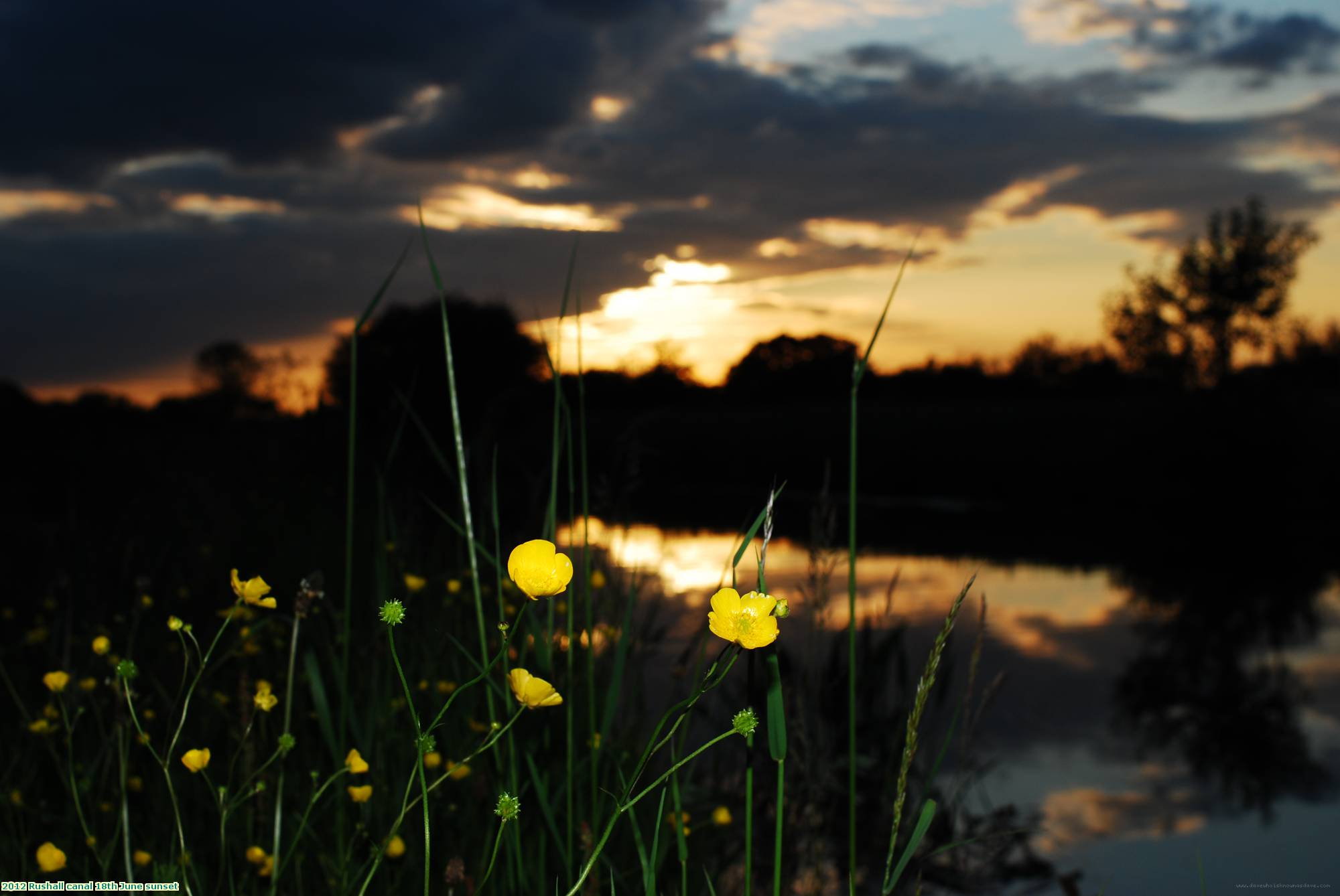 2012 Rushall canal 18th June sunset