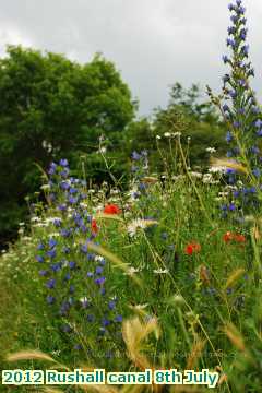  can2 2012 Rushall canal 8th July