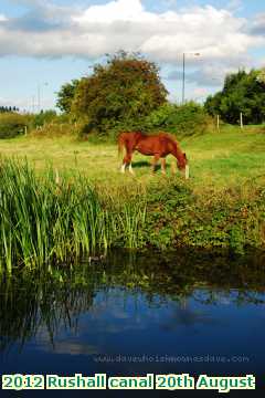  can2 2012 Rushall canal 20th August