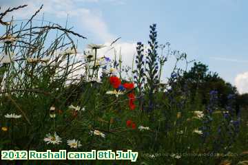  can2 2012 Rushall canal 8th July