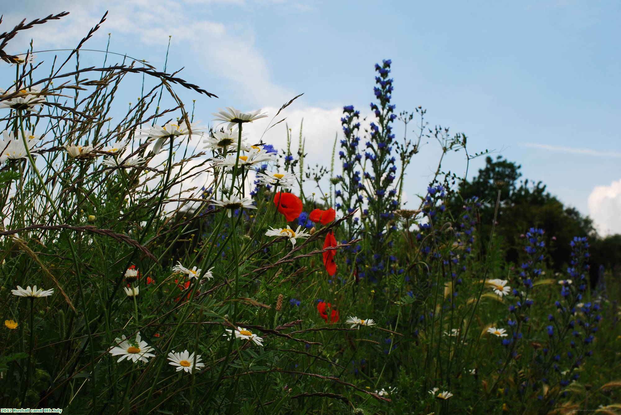 2012 Rushall canal 8th July