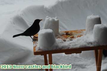  snow 2013 Snow castles and blackbird