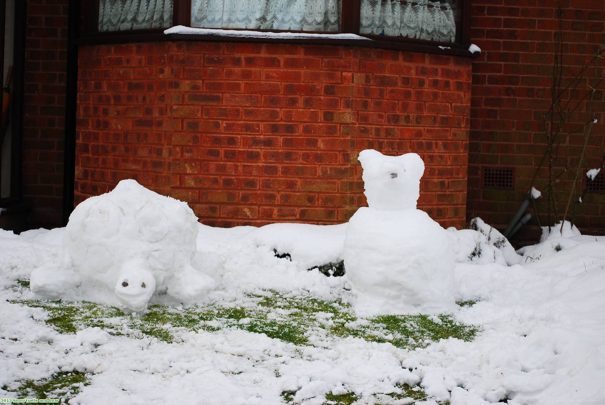 2013 Snow turtle and bear