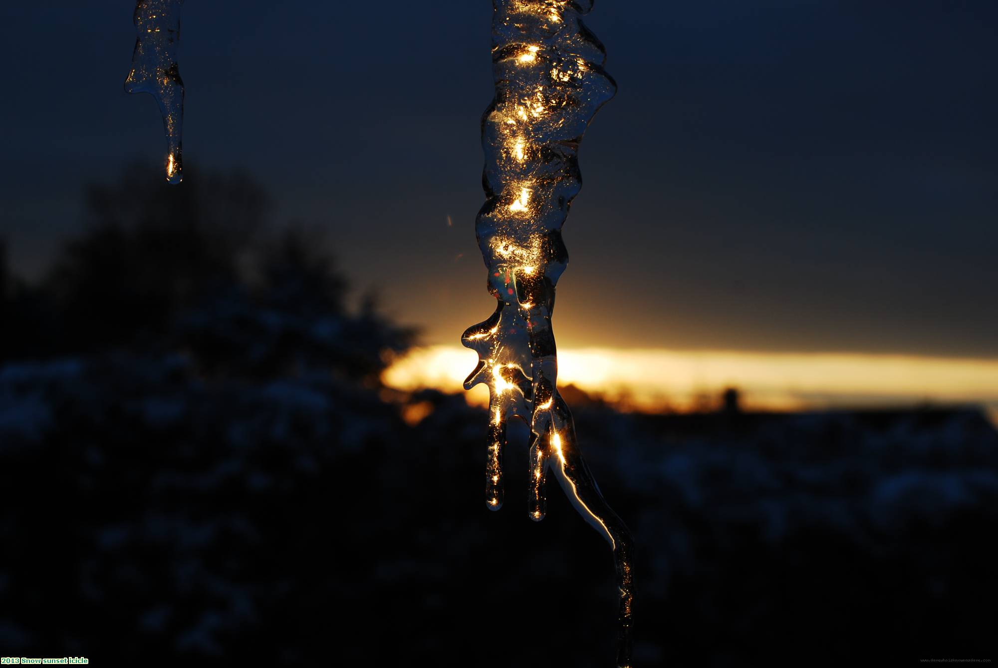 2013 Snow sunset icicle